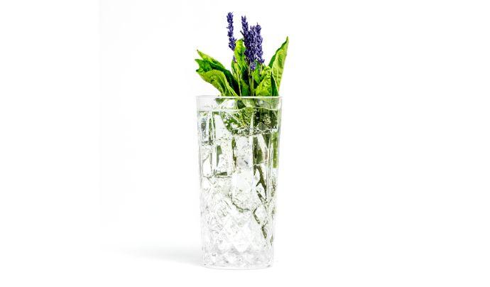 Spring Collins
