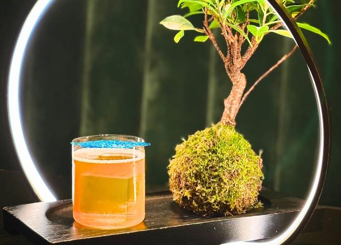 Un cóctel de color naranja claro con un cubo de hielo grande y una guarnición de hoja de azúcar turquesa, sobre una tabla de madera con una planta verde al lado.