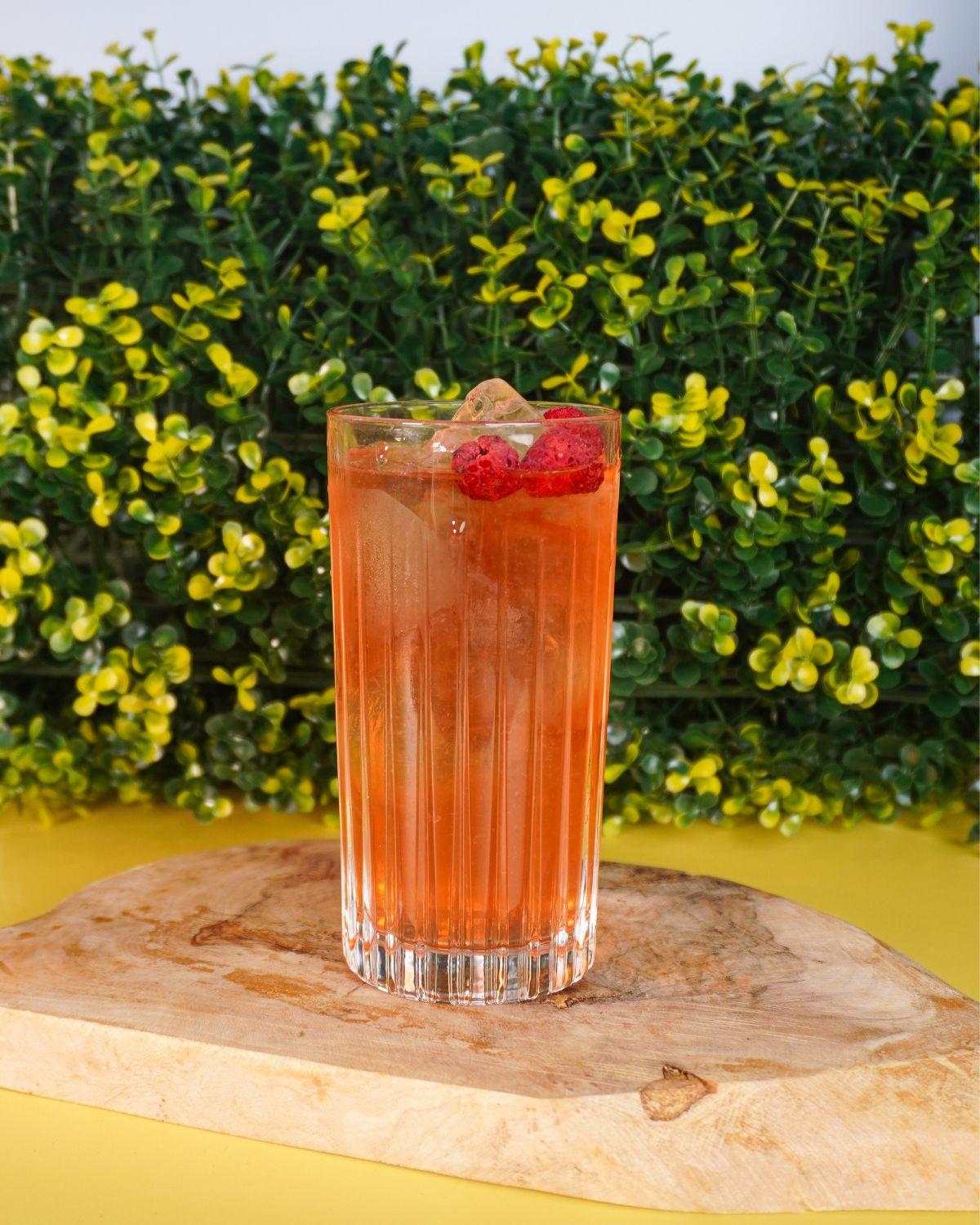 SPRING WALKER HIGHBALL