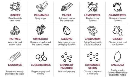 A chart highlighting common botanical ingredients, and their flavors, used in gin production.