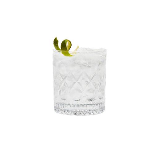 Tanqueray London Dry Mini G&T