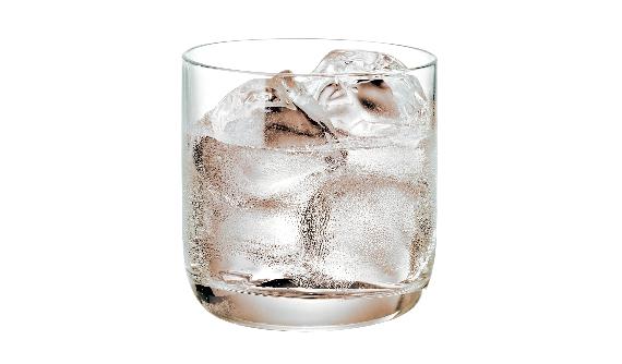 Red Berry on the Rocks