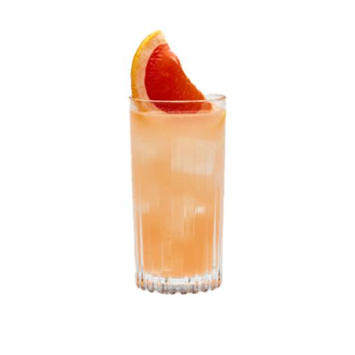 Australian Paloma