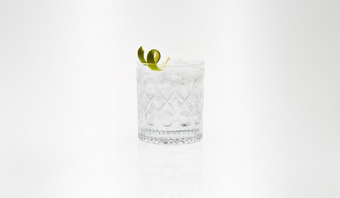Tanqueray London Dry Mini G&T
