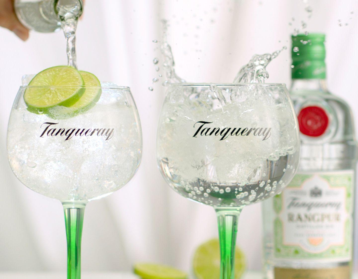 Tanqueray bottle and two cocktail glasses.