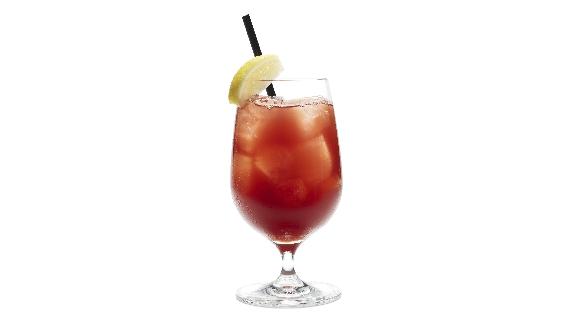 Pomegranate Apple Spritz