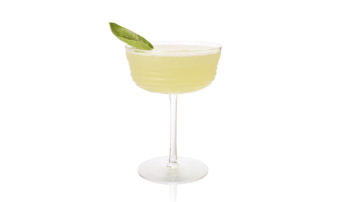 Daiquiri