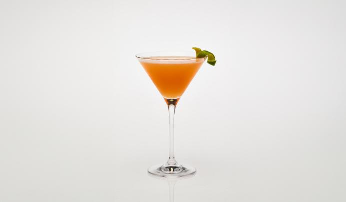Fresh Botanical