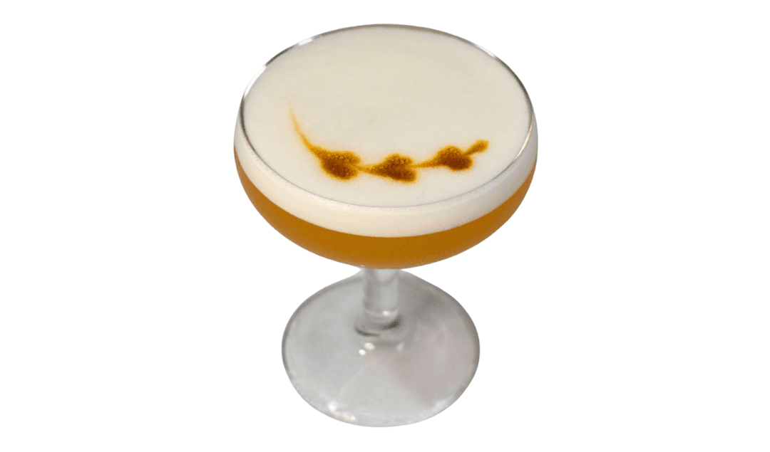 Gin Sour - Varmaid