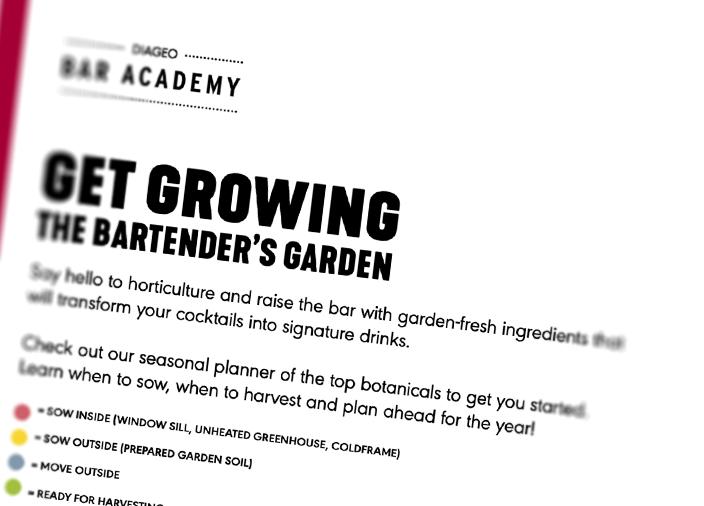 Thumbnail of the downloadable resource