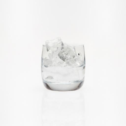 Red Berry on the Rocks
