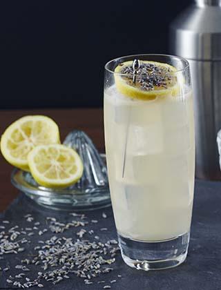 lavender mule
