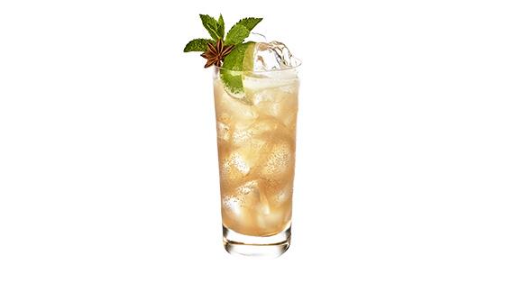 Gin Gin Mule