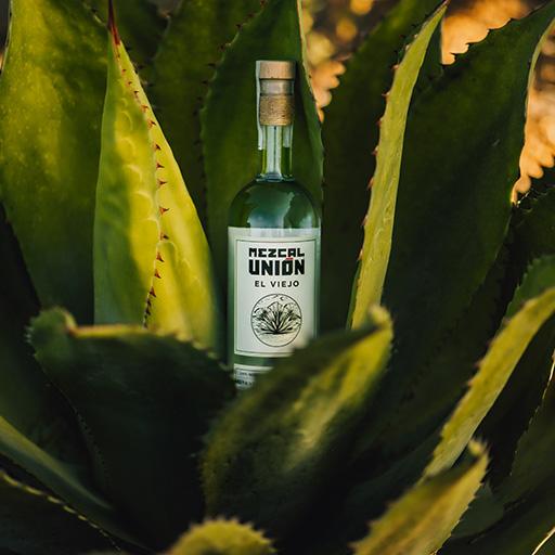 Mezcal Unión El Viejo