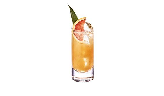 Tropical 10