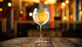 Receitas com Gin para Leigos e Profissionais