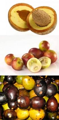 Imagem das frutas Abric Pão, Camucamu e Umari