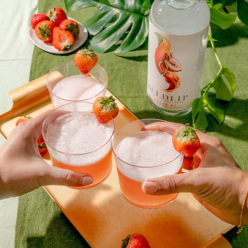 Bebidas con baja graduación y sin alcohol Seedlip