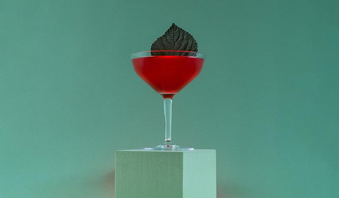 Gentle & Shiso 