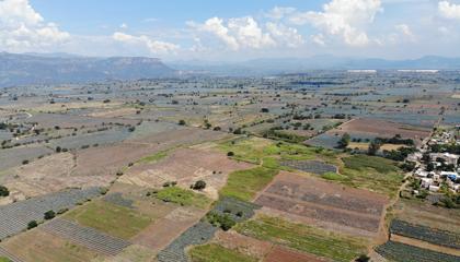 Tequila valley
