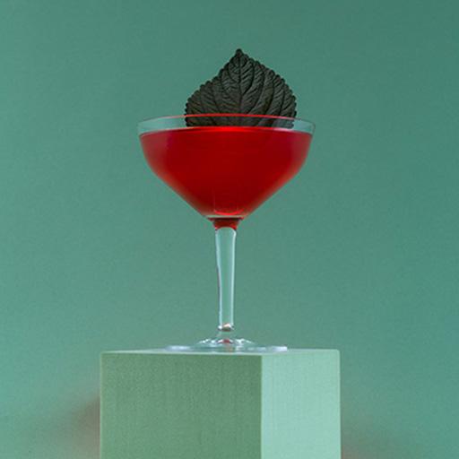 Gentle & Shiso 