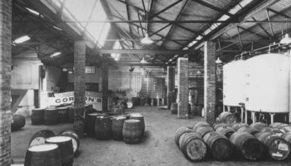 bodega gordons