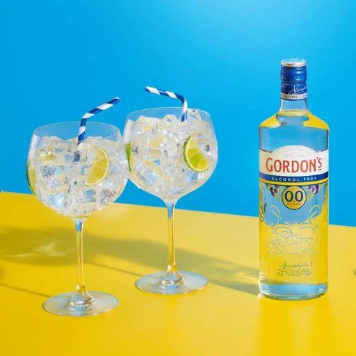 Boozeless Gin and Tonic