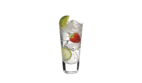 Gordon's Elderflower Gin & Tonic