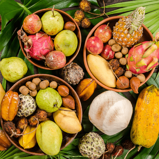Guia de Frutas pelos Biomas do Brasil