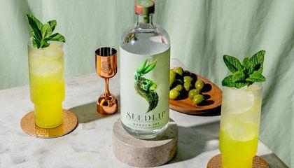 seedlip drinks