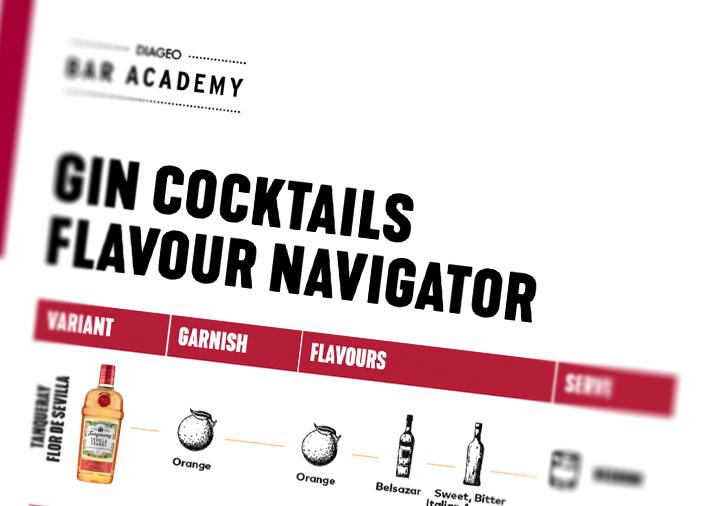 Gin Cocktails Flavour Navigator