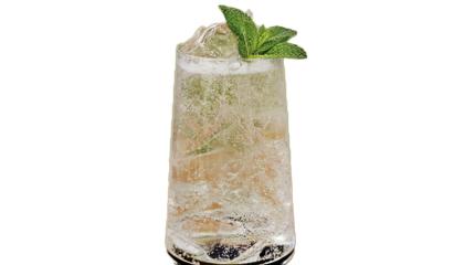 Seedlip Garden 108 & Tonic