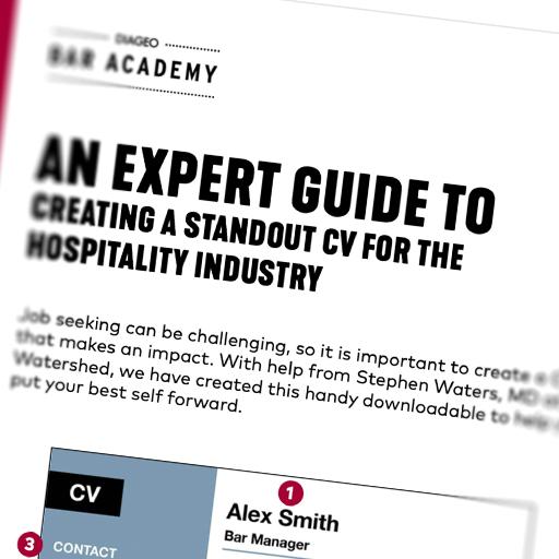 Preview of a downloadable CV template