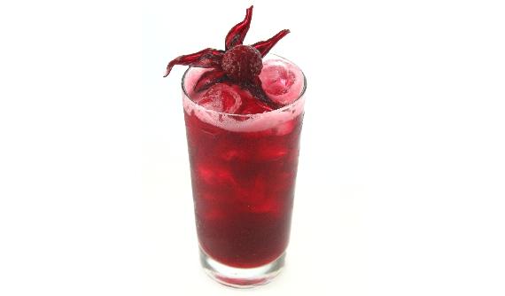 Hibiscus Fresca