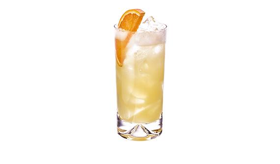FESTIVE FRUIT FIZZ