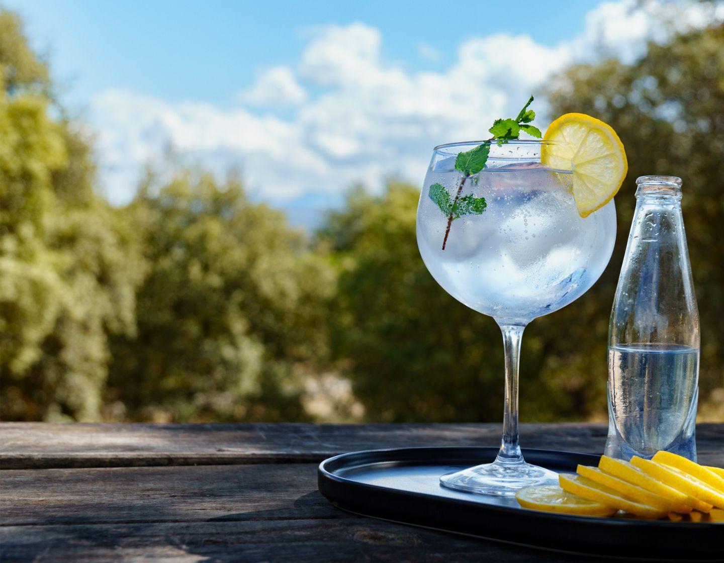 G&T in a British garden