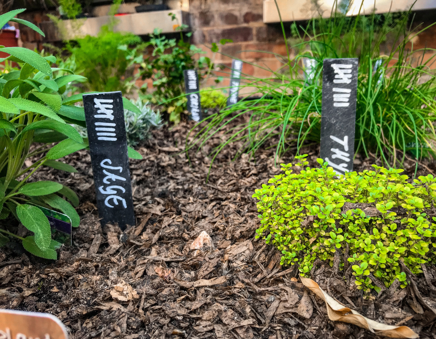 Jardín de hierbas con plantas en crecimiento y etiquetas de tiza