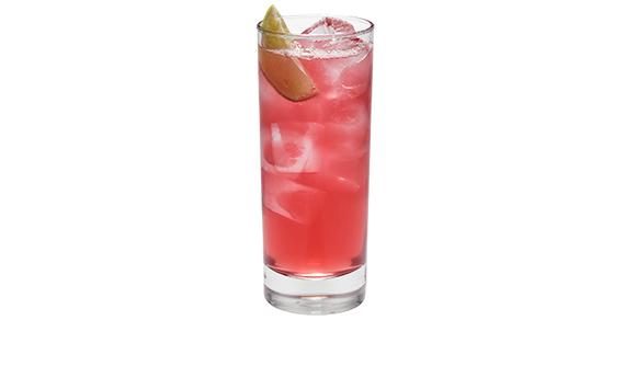Christmas Cranberry Mule