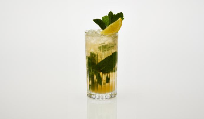 Pampero Mojito