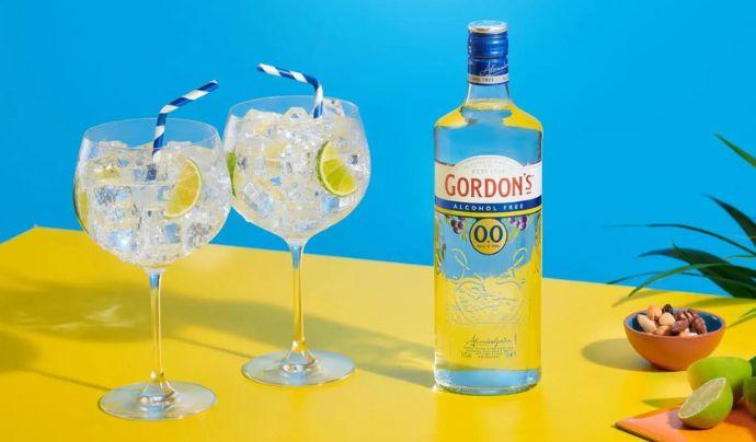 Boozeless Gin and Tonic