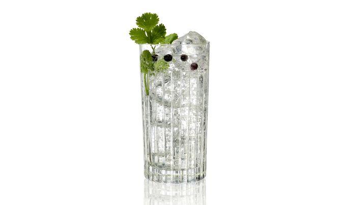 Tannenbaum and Tonic