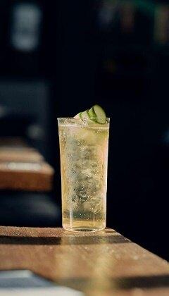tonico de pepino singleton de jo last
