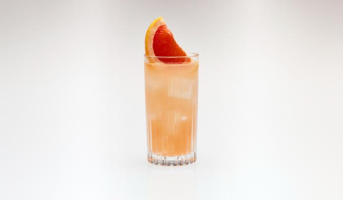 Australian Paloma