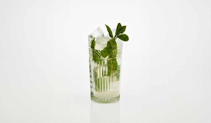 Mojito Mexicano