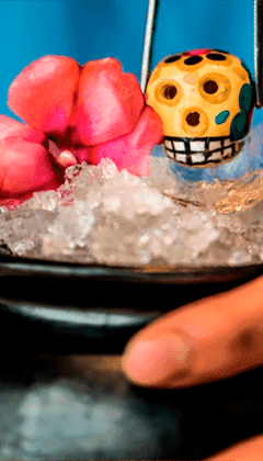 Receta Cóctel Ritual Por Fátima León