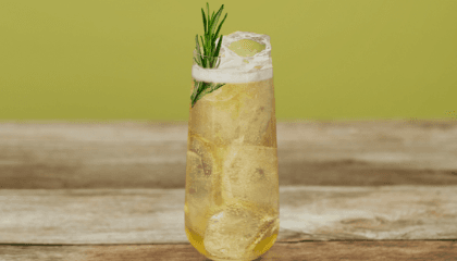 Seedlip Garden Ginger Highball