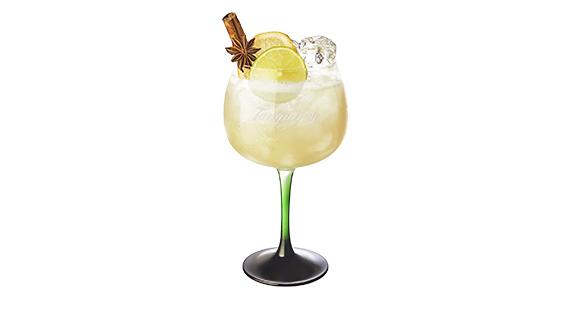 Spiced Apple G & T