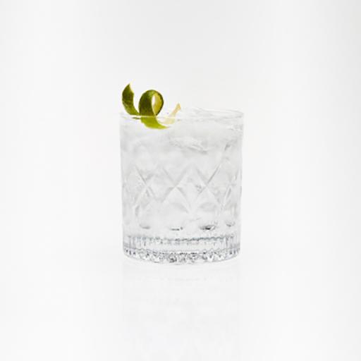 Tanqueray London Dry Mini G&T