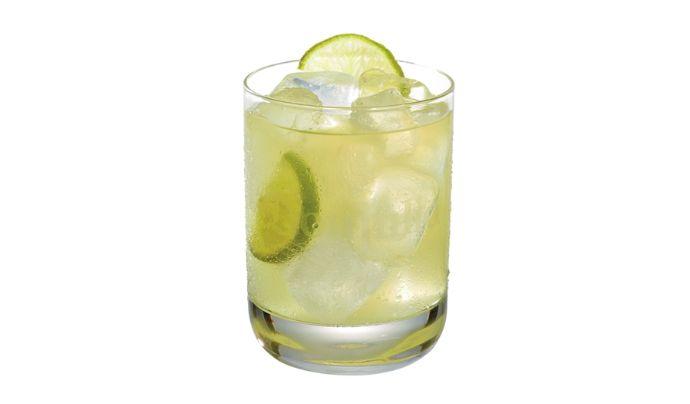 Don Julio Tommy's Margarita
