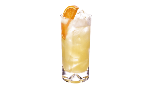 Festive Fruit Fizz